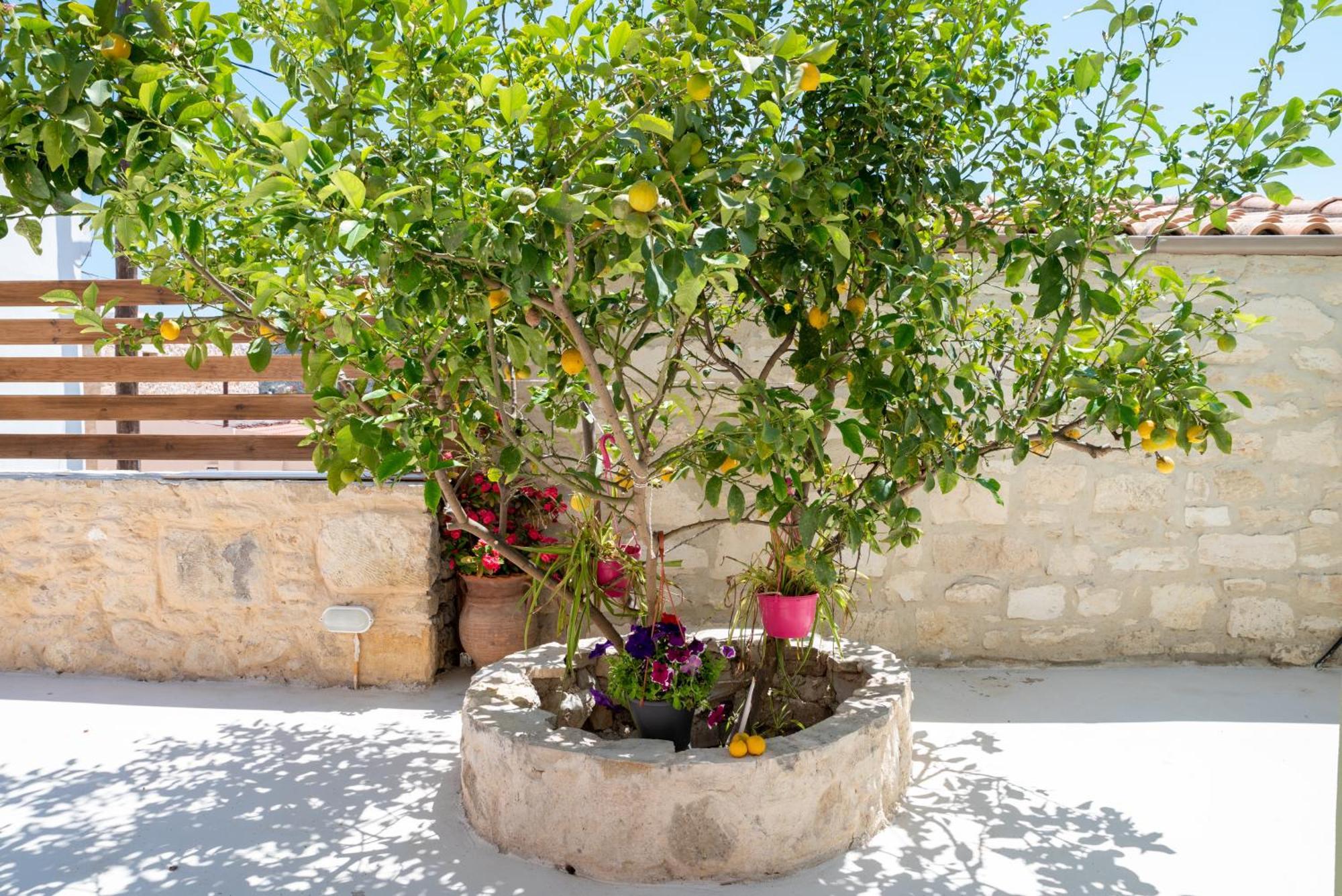 Calliope'S House In Knossos Villa Exterior foto